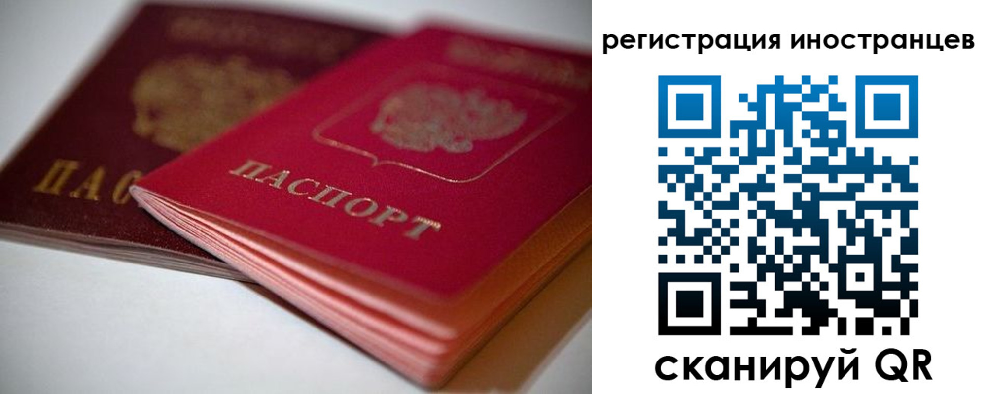 прописка штамп в Домодедово